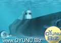 Submarine play games